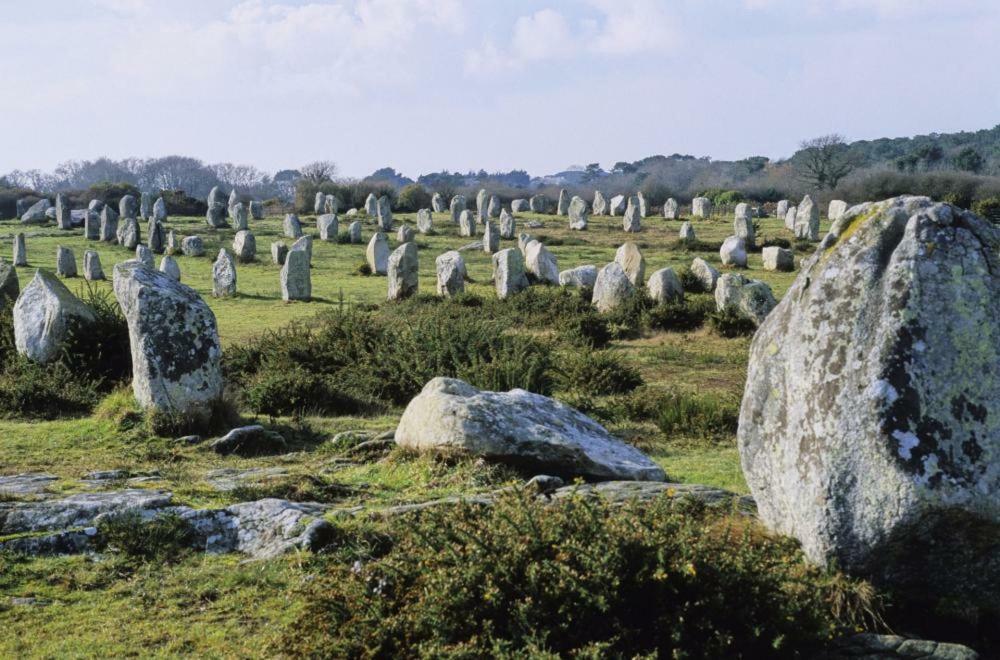 La Palmeraie Vannes Buitenkant foto