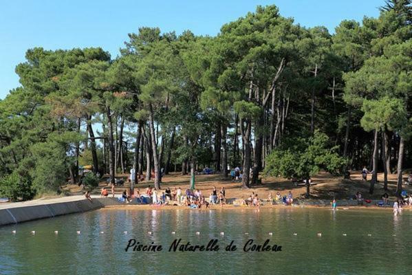 La Palmeraie Vannes Buitenkant foto