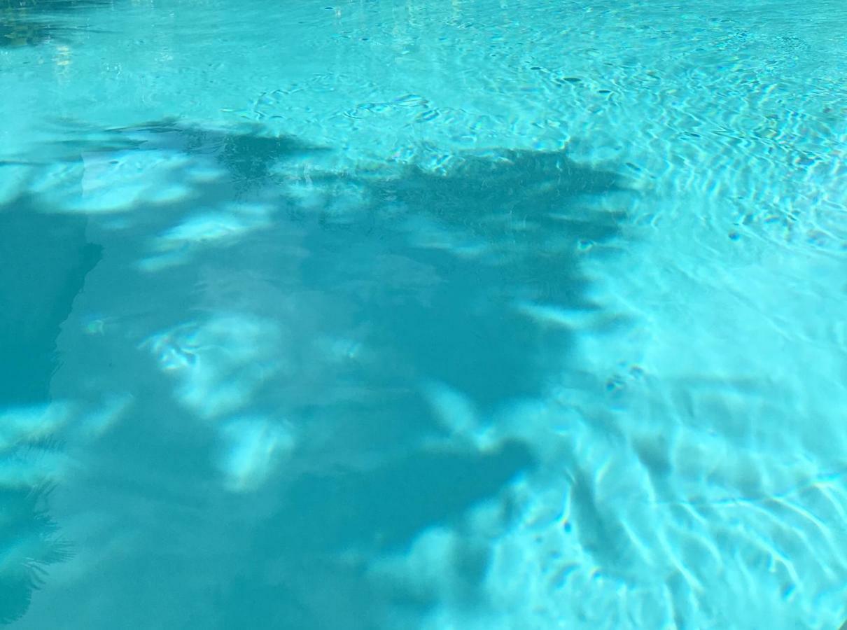 La Palmeraie Vannes Buitenkant foto
